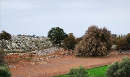 Парцел 8500 m² на Крит