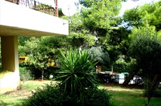 Property 20476 photo 12