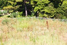 Property 205 photo 3