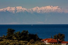 Property 2052 photo 3