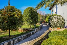 Property 2052 photo 6