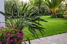 Property 2052 photo 8