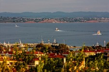 Property 2052 photo 16