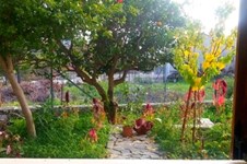 Property 20557 photo 12