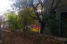 Property 20557 photo 5
