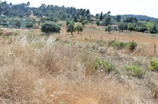 Property 2080 photo 4