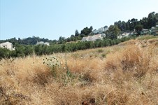 Property 2080 photo 5