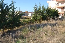 Property 20862 photo 4