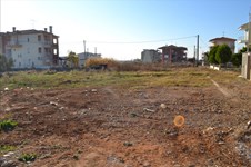 Property 20865 photo 3