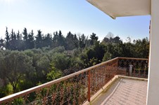 Property 20897 photo 6