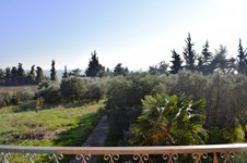 Property 20897 photo 7