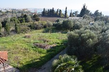 Property 20897 photo 8