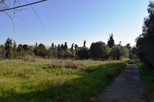 Property 20897 photo 9