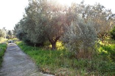 Property 20897 photo 11