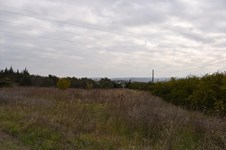Property 20945 photo 5