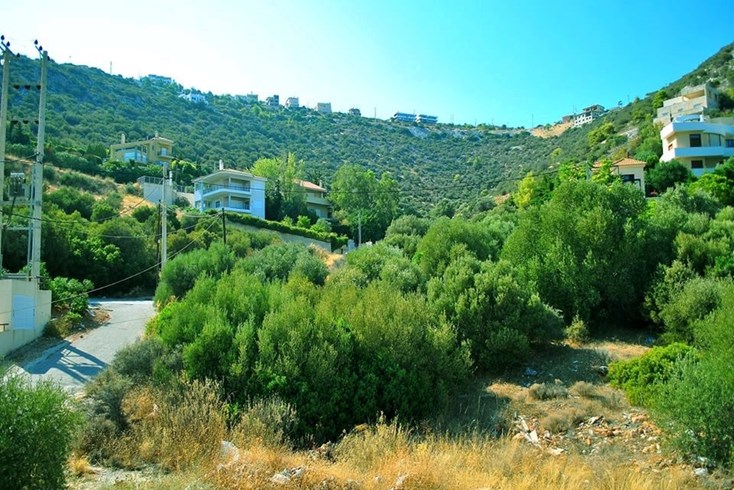 Realty photo 1