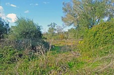 Property 20965 photo 4