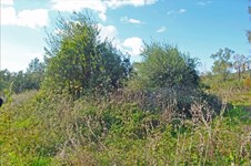 Property 20965 photo 5