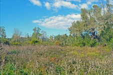 Property 20965 photo 6