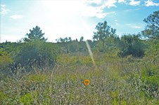 Property 20965 photo 3