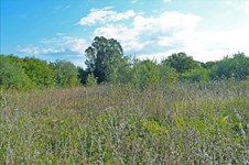 Property 20965 photo 7