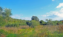 Парцел 13000 m² на о-в Корфу