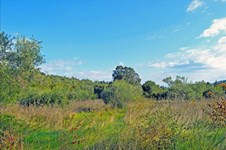 Property 20965 photo 1