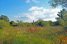 Property 20965 photo 2