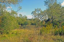 Property 20965 photo 8