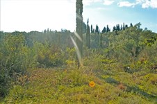 Property 20965 photo 9