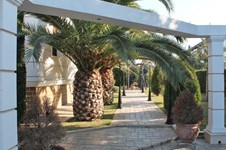 Property 20980 photo 32
