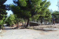 Property 21025 photo 6