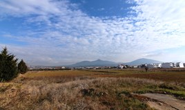 Land 6938 m² in Thessaloniki