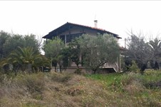 Property 2104 photo 10