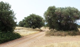 Land 302 m² auf Sithonia (Chalkidiki)