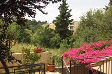 Property 21064 photo 16