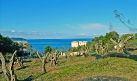 Land 4160 m² in Corfu
