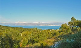 Land 7000 m² auf Korfu
