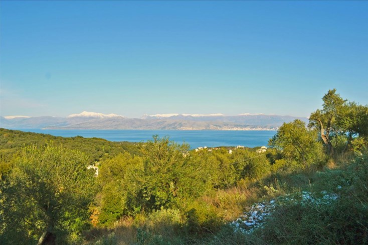 Realty photo 1
