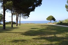 Property 211 photo 9