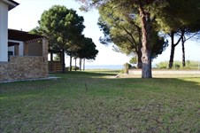 Property 211 photo 7