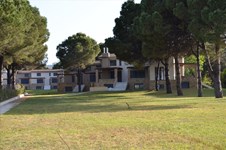 Property 211 photo 1