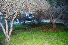Property 21144 photo 1