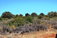 Property 21144 photo 2