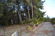 Property 21170 photo 4