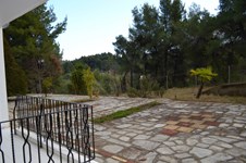 Property 21170 photo 6