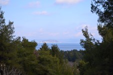 Property 21170 photo 3