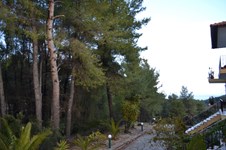Property 21170 photo 8