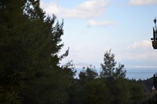 Property 21170 photo 5
