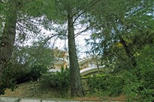 Property 21256 photo 5